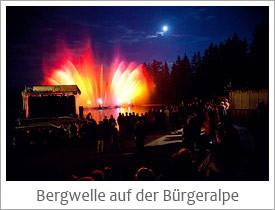 Bergwelle auf der Mariazeller Bürgeralpe Bergwelle auf der Mariazeller Bürgeralpe