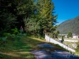 Hinein in den Wald oberhalb vom Gußwerker Friedhof | kalvarienberge-im-mariazellerland-1101