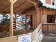 Lebendige Krippe mit Punschhütte - Angebot  beim Mariazeller Advent 2011