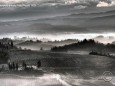 Nebel-in-der-Toskana