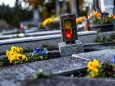 allerheiligen-allerseelen-mariazell-friedhof-01112023-c-fred-lindmoser-22