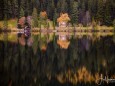 erlaufsee-spiegelungen-01112020-8762