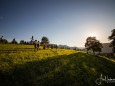 mariazeller-alphorn-sextett-konzert-09072020-22042