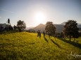 mariazeller-alphorn-sextett-konzert-09072020-22049