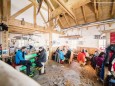 s\'Balzplatzerl auf der Gemeindealpe Mitterbach
