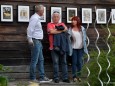 Barbara Essl Ausstellung in der Holzwerkstatt Ofner. Foto: Michael Riedler