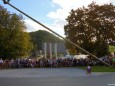 Maibaum fääääällt beim Bauernmarkt in Gußwerk 2012