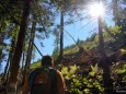 Aufstieg durch den Wald zur Bichleralpe