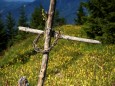 Bichleralpe Gipfelkreuz