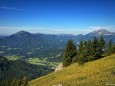 Ausblick von der Bichleralpe