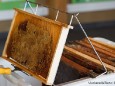 Tag des offenen Bienenstockes in der Arche des Waldes auf der Mariazeller Bürgeralpe