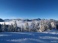 Bürgeralpe im Winter 2010