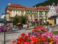 Blumenschmuck im Mariazellerland 2013