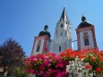 Blumenschmuck im Mariazellerland 2013