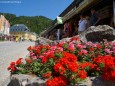 Blumenschmuck im Mariazellerland 2013