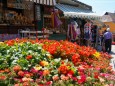 Blumenschmuck im Mariazellerland 2013