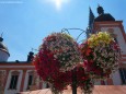 Blumenschmuck im Mariazellerland 2013