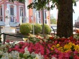 Blumenschmuck im Mariazellerland 2013