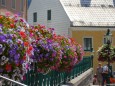 Blumenschmuck in Mariazell am Hauptplatz - 15. August 2012