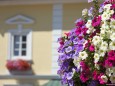 Apotheke und Blumenschmuck in Mariazell am Hauptplatz - 15. August 2012