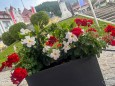 blumenschmuck-mariazell-18072023-2