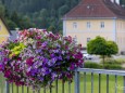 blumenschmuck-mariazell-18072023-3881