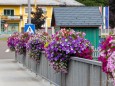 blumenschmuck-mariazell-18072023-3885