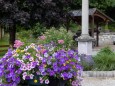 blumenschmuck-mariazell-18072023-3893