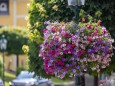 blumenschmuck-mariazell-18072023-3908