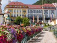 blumenschmuck-mariazell-18072023-3915