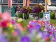 blumenschmuck-mariazell-18072023-3924