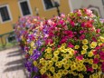 blumenschmuck-mariazell-18072023-3930