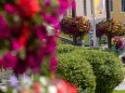 blumenschmuck-mariazell-18072023-3932