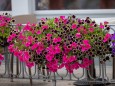 blumenschmuck-mariazell-18072023-3936