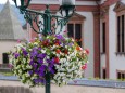 blumenschmuck-mariazell-18072023-3953