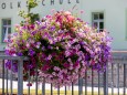 blumenschmuck-stadtgemeinde-mariazell-25072022-2764