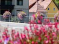 blumenschmuck-stadtgemeinde-mariazell-25072022-2777