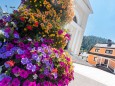 blumenschmuck-stadtgemeinde-mariazell-25072022-2780