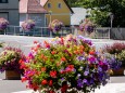 blumenschmuck-stadtgemeinde-mariazell-25072022-2786