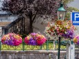 blumenschmuck-stadtgemeinde-mariazell-25072022-2799