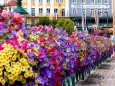 blumenschmuck-stadtgemeinde-mariazell-25072022-2802