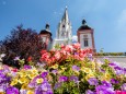 blumenschmuck-stadtgemeinde-mariazell-25072022-2824