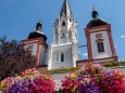 blumenschmuck-stadtgemeinde-mariazell-25072022-2827