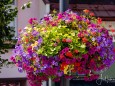 blumenschmuck-stadtgemeinde-mariazell-25072022-2840