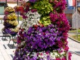 blumenschmuck-stadtgemeinde-mariazell-25072022-2842