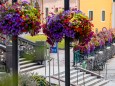 blumenschmuck-stadtgemeinde-mariazell-25072022-2869