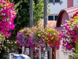 blumenschmuck-stadtgemeinde-mariazell-25072022-2886