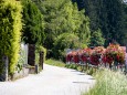 blumenschmuck-stadtgemeinde-mariazell-25072022-2911