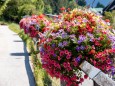 blumenschmuck-stadtgemeinde-mariazell-25072022-2912