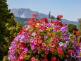 blumenschmuck-stadtgemeinde-mariazell-25072022-2918